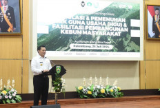 Penuhi Prosedur HGU yang Jelas, Pemprov Sumsel Gelar Sosialisasi Regulasi HGU Industri Kelapa Sawit