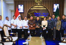 Jajaki Kerjasama dengan Investor China, Pembangunan PLTA di OKU Selatan