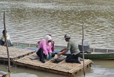 Keramba Ikan Toman Desa Srijaya Curi Perhatian Wabup Netta, Berpotensi Jadi Sumber Ekonomi Baru Warga
