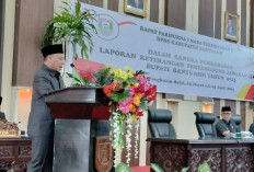 Pansus III Minta Pemkab Banyuasin Tingkatkan PAD