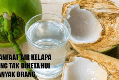 Manfaat Luar Biasa Air Kelapa yang Mungkin Belum Anda Ketahui