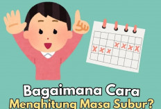 Agar Promil Berhasil, Yuk Hitung Masa Subur Kamu, Begini Caranya!