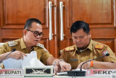 Raihan Index Reformasi Birokrasi Pemkab Banyuasin Meningkat Drastis