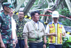 Pemprov Sumsel Tuntut Percepatan Perbaikan Jembatan Muara Lawai