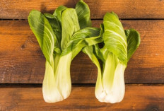 Makan Pakcoi Tiap Hari? Ini 7 Efek Hebatnya untuk Tubuh Anda!