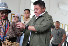Promosi Rumah Pewarna Alami Kebun Raya Sriwijaya dan Dukungan CSR