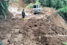 Tanah Longsor Tutup Akses Jalan Penghubung