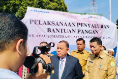 Musi Banyuasin Kembali Raih Zona Hijau dalam Pelayanan Publik