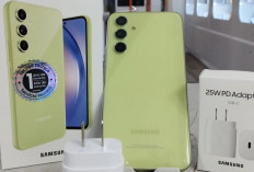 Keunggulan Kamera dan Visual yang Memukau, Spesifikasi dan Harga Samsung A54 5G