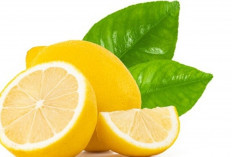 Lemon Ternyata Lebih Hebat dari Obat, Ini Cara Cegah Batu Ginjal Secara Alami!