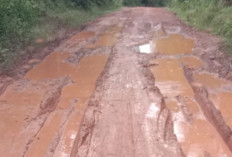 Jalan Rusak Parah Akibat Truk Pasir, Warga Desa Pagar Bulan Menuntut Perbaikan