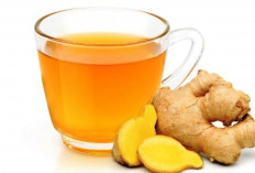 5 Minuman Herbal yang Bisa Usir Perut Buncit