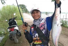 Tips dan Trik Memancing di Daerah Rawa