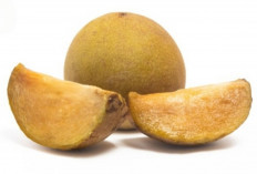 Jangan Remehkan Buah Sawo, Kandungan Vitamin A-nya Bisa Selamatkan Mata!