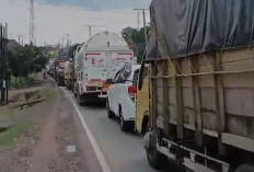 Desak Solusi Nyata dari Pemerintah
