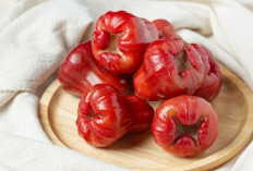 Rahasia Diet Sukses: Buah Segar Ini Bisa Dimakan Banyak Tanpa Takut Gemuk!