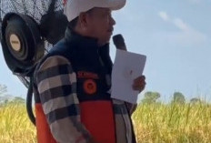 Dilarang Menangkap Ikan Pakai Setrum dan Racun Ikan, Bisa Dipidana