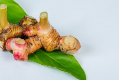 Bukan Sekadar Bumbu, Ini Manfaat Lengkuas untuk Kesehatan dan Kecantikan