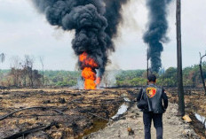 Kasus Kerusakan Pipa di Musi Banyuasin: Pengerusakan Menambah Kerusakan Lingkungan