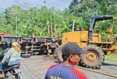 Pecah Ban Belakang, Mobil Box Terbalik