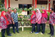 Hasil Gertas, Warga SMPN 2 Banyuasin III Penen Terong Ungu