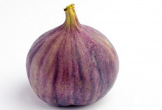 Buah Manis Penangkal Kanker? Ini Fakta Mengejutkan tentang Buah Tin!