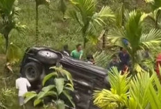 Laka Tunggal, Fortuner Terperosok di Perkebunan Sawit di OKU