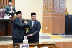 Wagub Sumsel Tegaskan Komitmen Pemprov Sumsel Wujudkan Raperda Responsif Gender dan Anak