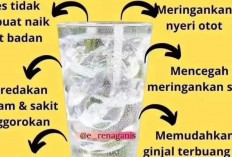 Anda lebih Suka Air Es Ketimbang Air Hangat, Nih Simak Manfaat Minum Air Es !