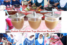 P5 Hidup Berkelanjutan, Kegiatan Praktik Pembuatan TOGA  di SMPN 2 Banyuasin III