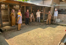 Monev Kurikulum Mulok Disdik Povinsi dan ICRAF Kunjungi, SMK-UN 2 Banyuasin III  