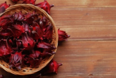 Tak Disangka, Bunga Cantik Ini Bisa Jadi Obat Alami Sembelit dan Asam Lambung