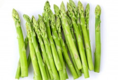 Kenali Manfaat Asparagus untuk Ibu Hamil: Dari Folat hingga Serat