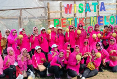 Wisata Petik Melon di Kayuara Kuning Banyuasin, Green House yang Menarik Dikunjungi