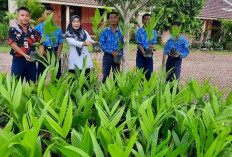 P5 Kewirausahaan SMPN 4 Banyuasin III, Menjual Bibit Pinang Batara