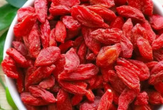 Mengenal Khasiat Goji Berry, Buah Kecil Kaya Antioksidan