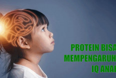 Mengapa Protein Penting untuk Kecerdasan Anak? Ini Penjelasannya