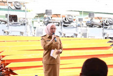 Wujudkan Swasembada Pangan, Wabup Banyuasin Serahkan Alsintan untuk Brigade Pangan