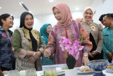 Pemprov Sumsel Dukung Kreativitas Pelajar dalam Festival Hari Pendidikan