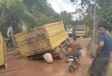 Jalan Desa Lubuk Rengas Rusak Parah, Warga Mengeluhkan Akses yang Sulit