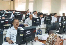 Dukung Manajemen Talenta, Pemkab Banyuasin Gelar CACT PNS