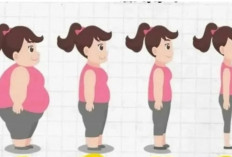 Diet Tapi Selalu Gagal ? Ini 6 Tips Menurunkan Berat Badan