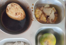 MBG di Banyuasin Tuai Keluhan, Menu Dinilai Monoton dan Banyak Terbuang