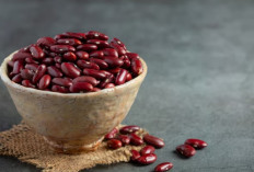 Ternyata Kacang Merah Bisa Gantikan Daging! Ini Manfaat Luar Biasanya!