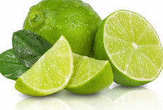 Detoks, Diet, hingga Kulit Glowing: Semua Berkat Jeruk Nipis!