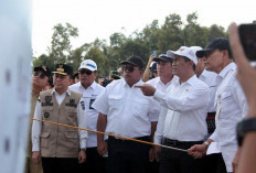 Kunker Mentan RI: Banyuasin Penyanggah Stok Pangan Nasional