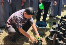 SMAN 1 Rantau Bayur Tanam Cabe, Dukung GSMP dan Jadikan Pembelajaran Praktis