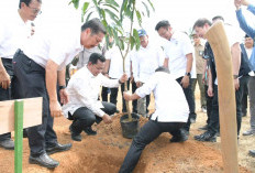 Didampingi Bupati Banyuasin, Menteri Lingkungan Hidup Pastikan Kesiapan Hadapi Ancaman Kebakaran Lahan
