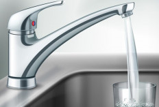 Mengenal Laminar Flow: Aliran Tenang di Dunia Fluida