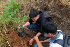 Ciri khas Nama Kecamatan, di Depan Pintu Gerbang SMKN 1 Rambutan Ditanami Rambutan